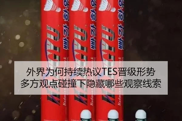外界为何持续热议TES晋级形势 多方观点碰撞下隐藏哪些观察线索