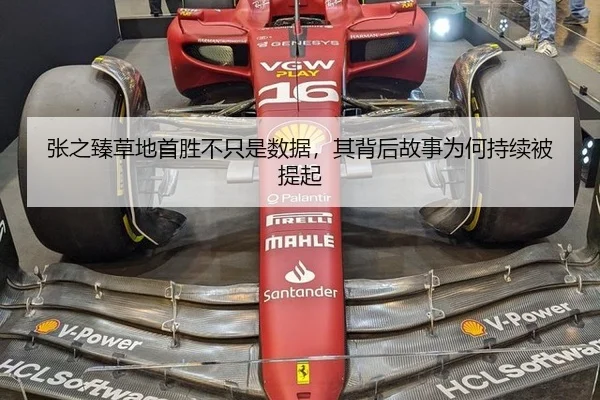 张之臻草地首胜不只是数据，其背后故事为何持续被提起 | nangong